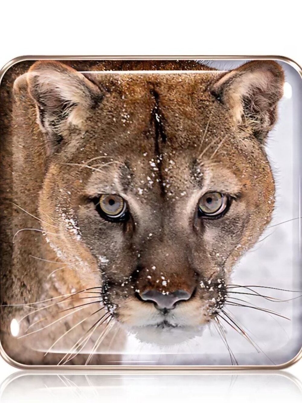 Chantecaille Cougar Palette Fall 2022